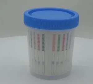 10-Panel Urine Drug Test