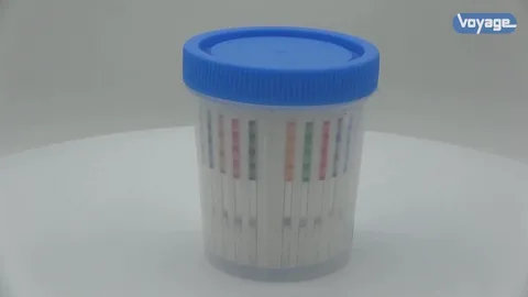 10-Panel Urine Drug Test