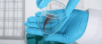 Hair Drug Test – 17 Panel