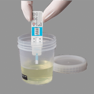 DOT Urine Drug Test