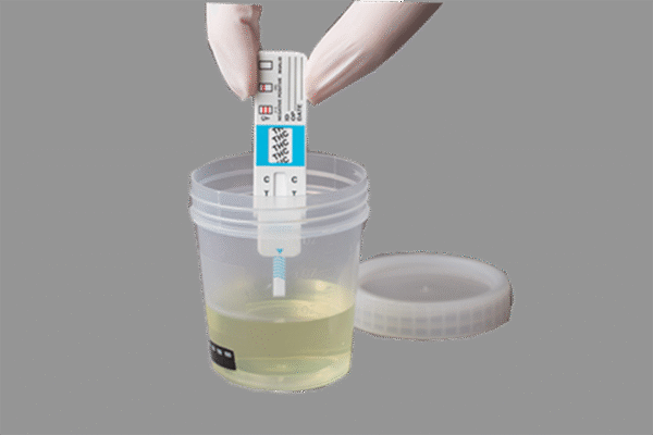 DOT Urine Drug Test