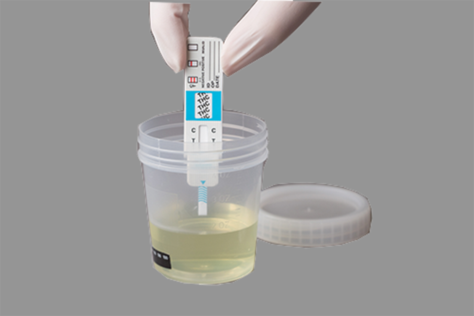 DOT Urine Drug Test